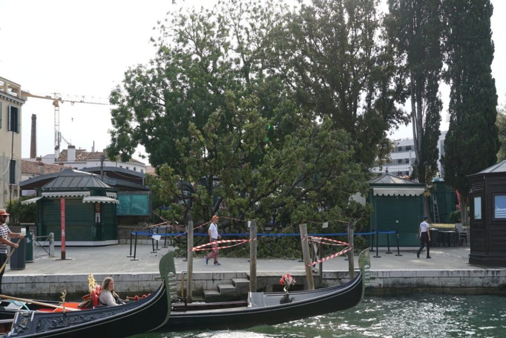 Attentato_a_Venezia%3F_In_realt%C3%A0