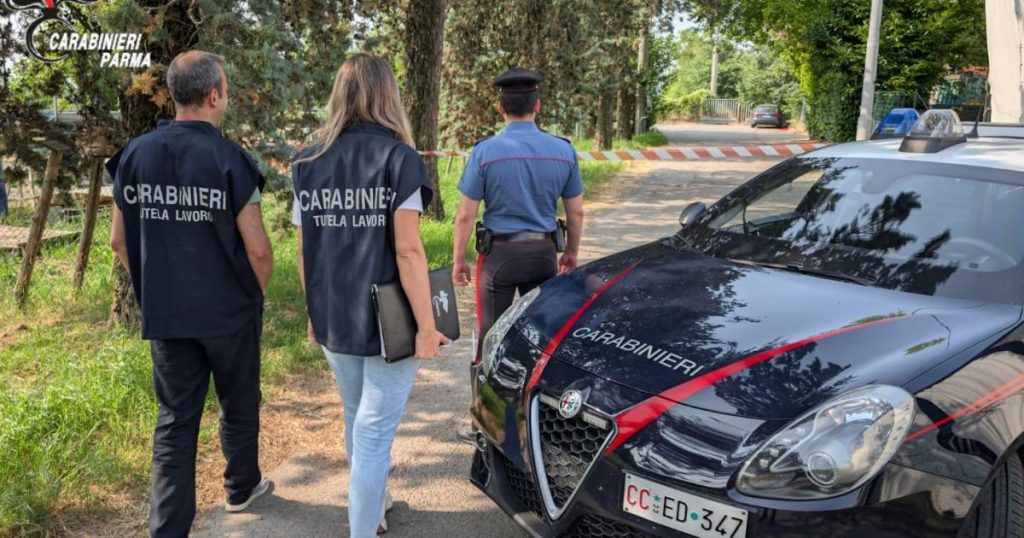 Carabinieri_di_Parma_smaschera