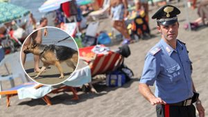 Paura_in_spiaggia_a_Riccione%3A_