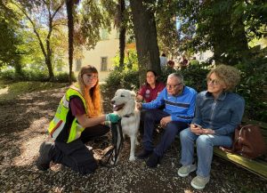 Rimini%3A_una_mattinata_di_forma