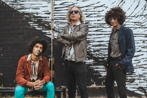 Savana_Funk%3A_il_gruppo_di_punt