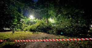 Tempesta_al_Parco_Ducale%3A_gros